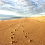 Sondela Self Catering * Сан-Мартинью-ду-Порту