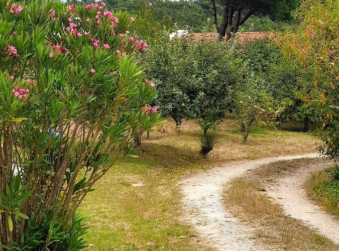 Apartment Sondela Self Catering Sao Martinho do Porto