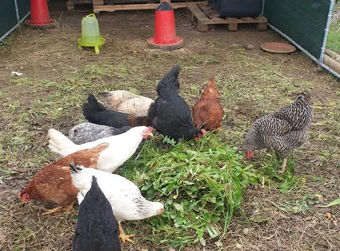 Sondela Self Catering * Sao Martinho do Porto