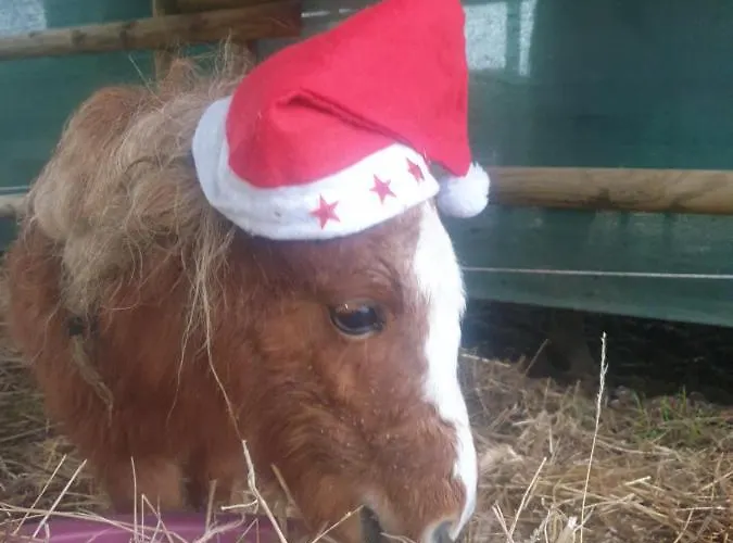 Sondela Self Catering Apartment