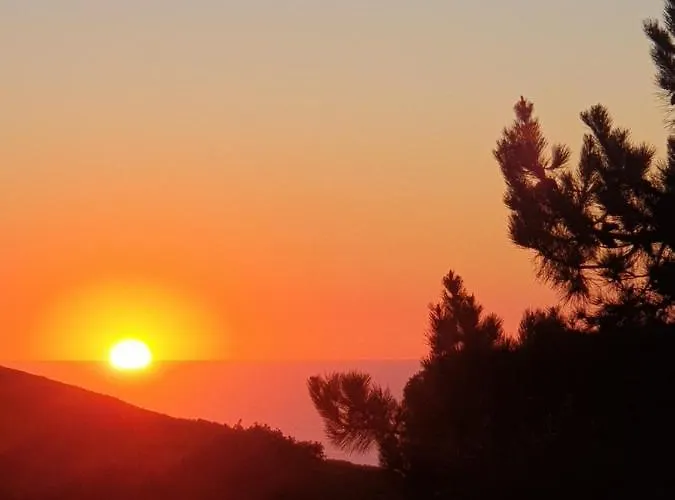 Apartment Sondela Self Catering Sao Martinho do Porto