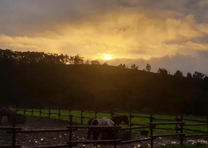 Apartment Sondela Self Catering *