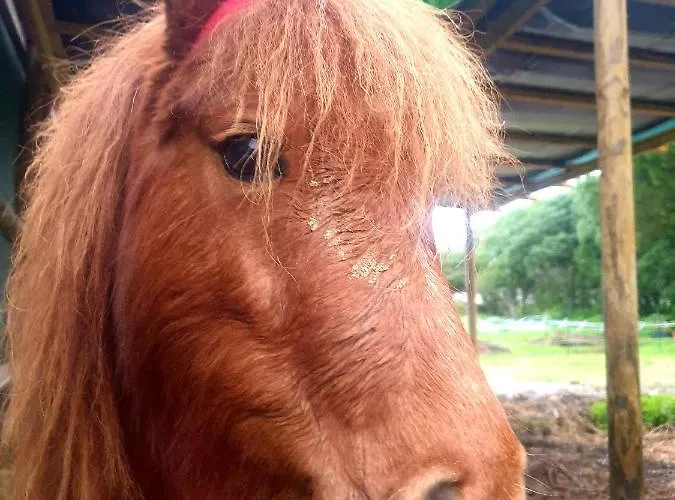 Sondela Self Catering *