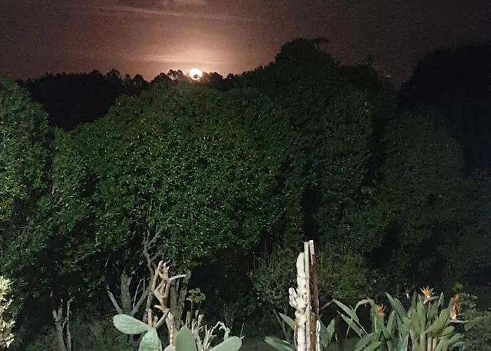 Apartment Sondela Self Catering Sao Martinho do Porto